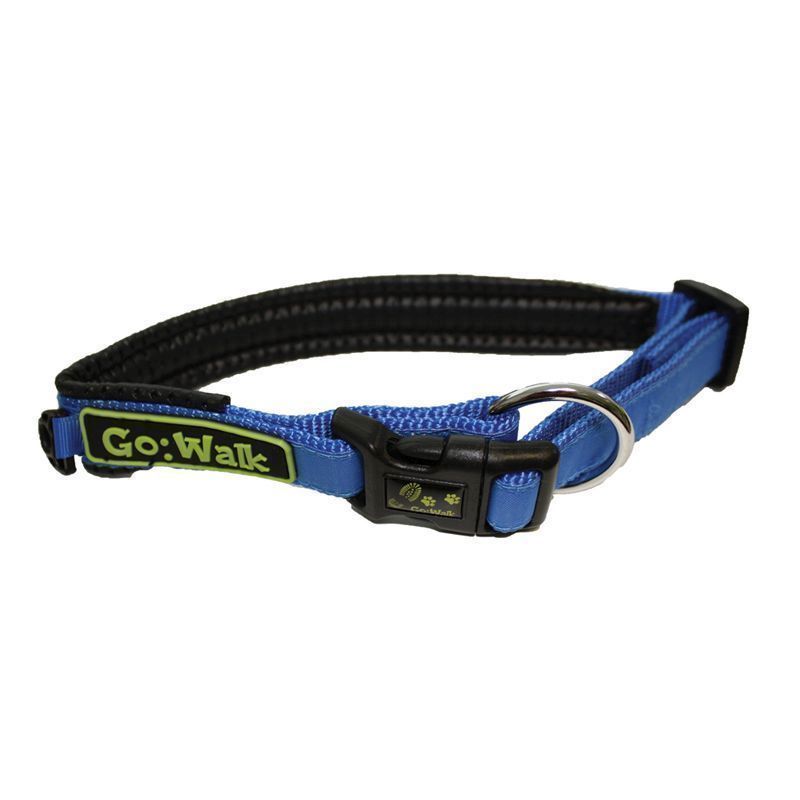 Large Blue Go Walk Dog Collar